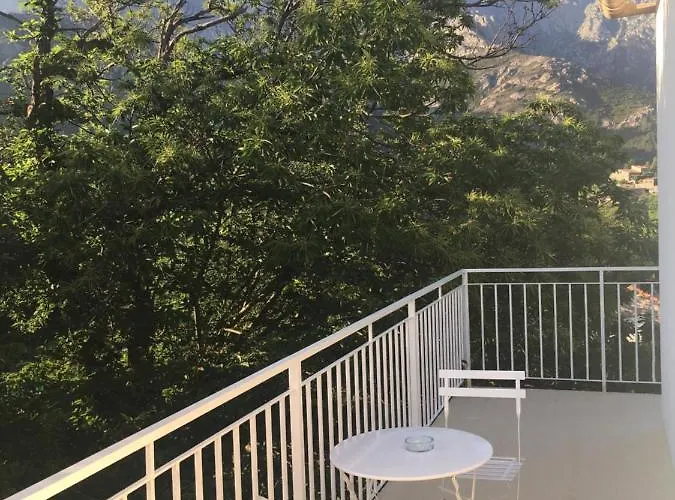 1er Consul Sas A Bussinca Bocognano