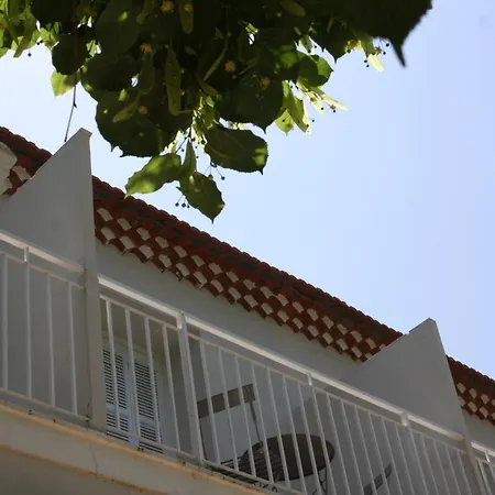 1er Consul Sas A Bussinca