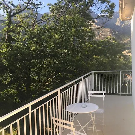 1er Consul Sas A Bussinca בוקוניאנו