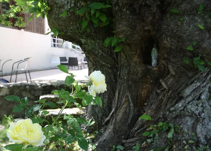 1er Consul Sas A Bussinca 3*