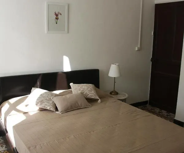 1er Consul Sas A Bussinca 3* Bocognano