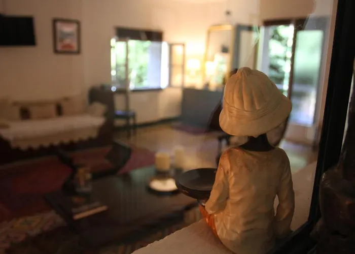 Bed & Breakfast 1er Consul Sas A Bussinca Bocognano